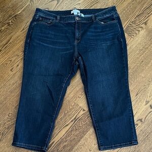 Lane Bryant Dark Blue Ankle Jeans